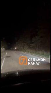 Наперегонки с медведем: обычный вечер в Сибири