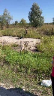 Сегодня, в Сураже возле Кашовского переезда, в сторону песков, случился ужасный инцидент.