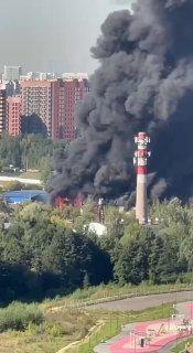 Огромный столб дыма всё ещё висит над Балашихой: пожарные пока не могут справиться с возгоранием