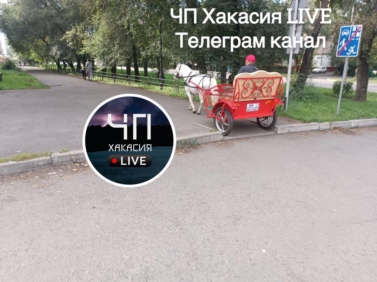 Ничего необычного, типичный вид транспорта в Хакасии 🇷🇺 Источник: ЧП Хакасия