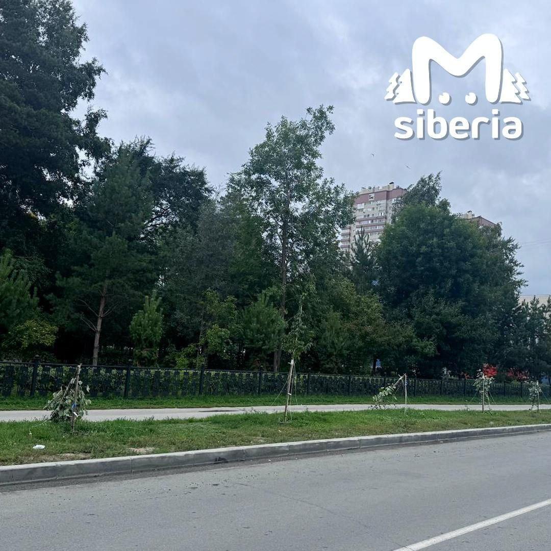 Отмечающие устроили погром после празднования 100-летия парка на Ядринцевской...