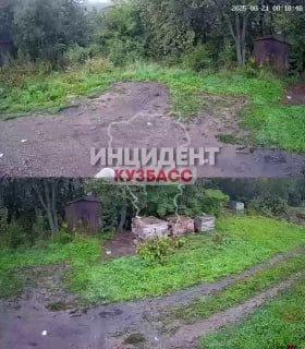 Вооруженный мужчина в Калтане убивает щенков. Полиция бездействует.