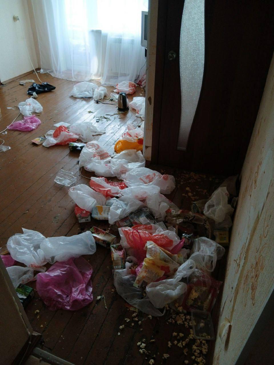 Красноярску шокировало состояние квартиры после сдачи в аренды