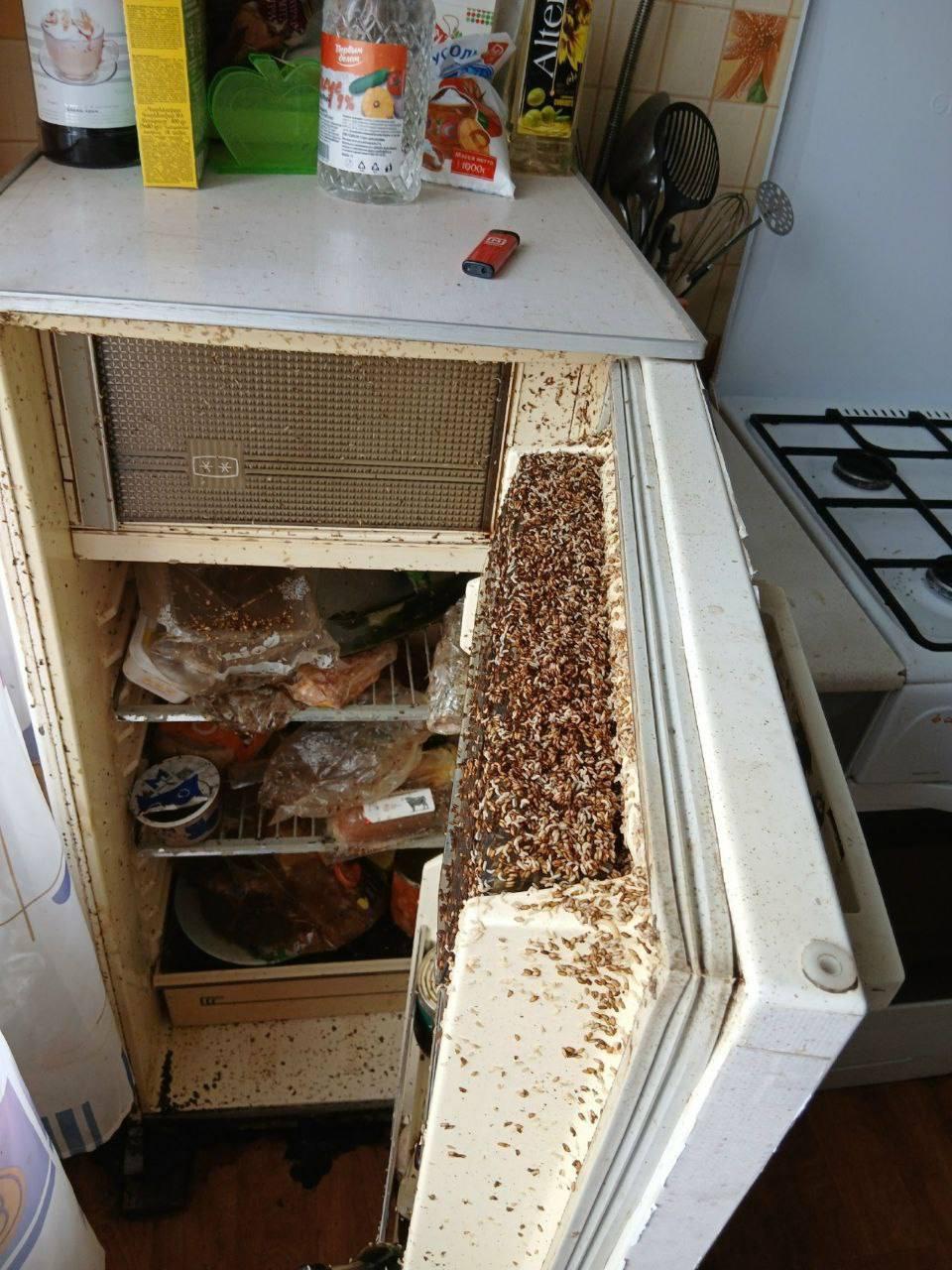 Красноярску шокировало состояние квартиры после сдачи в аренды
