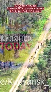 Трусливые гиены. Боевики ВСУ строем удирают с позиций под Купянском
