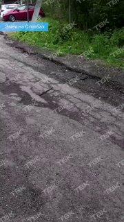 Змея выползла к посетителям Столбов прямо у входа