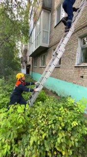 В Сочи хозяин оставил собаку в запертой машине на 30-градусной жаре. Очевидцы заметили, что при этом владелец «заботливо укрыл приборную панель от солнышка, чтобы не испортилась».