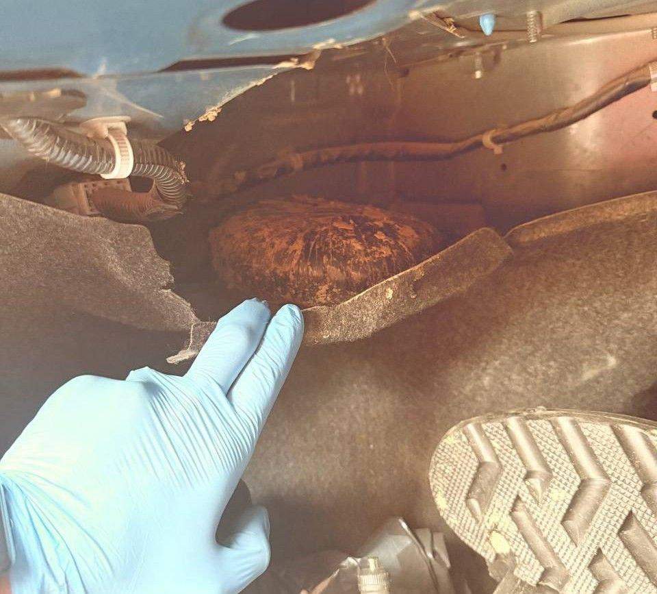 Кузбасские полицейские задержали жителя Красноярского края, который планировал сбыть около 3 кг гашиша