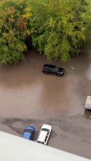 Утки плавают по затопленным парковкам Красноярска