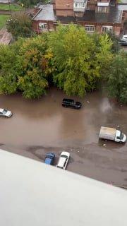 Утки плавают по затопленным парковкам Красноярска