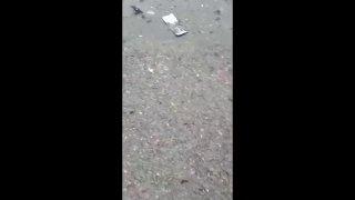 Два автобуса разом сгорели в Кемерове