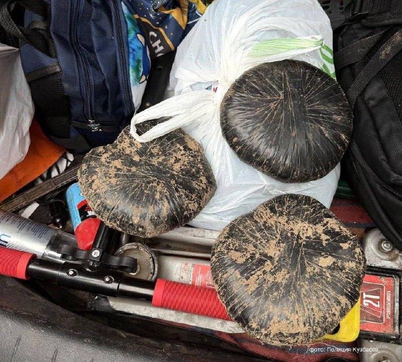 В Кузбассе задержали красноярца с тремя килограммами гашиша. В его машине...