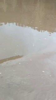 Жители двух районов Красноярска останутся без холодной воды из-за мутной воды в Енисее