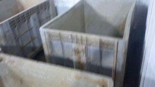 В Красноярске твари-предприниматели превратили цех по переработке рыбы в...