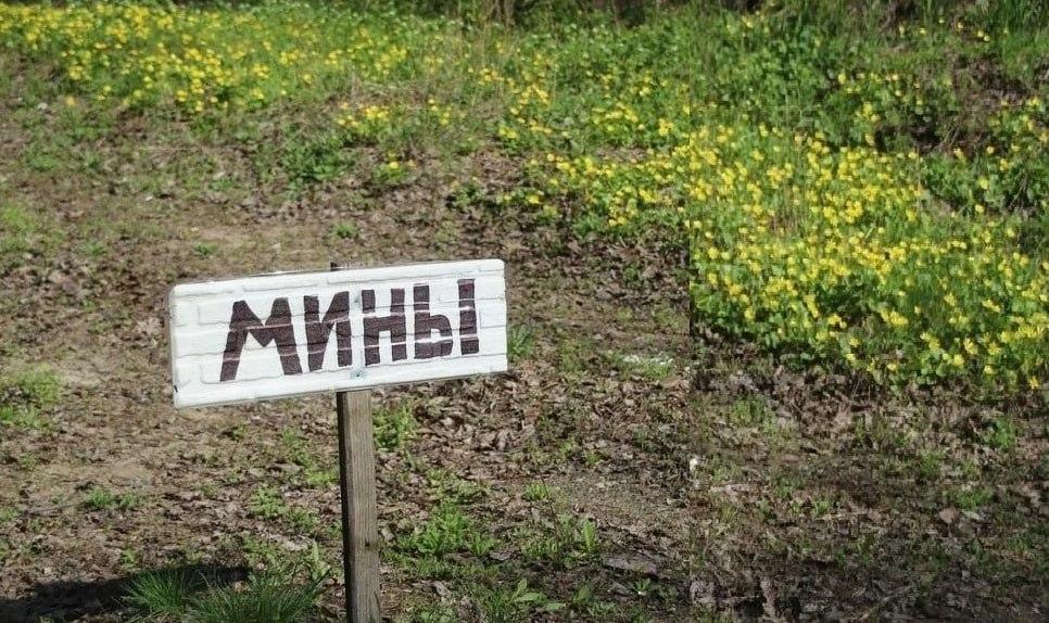 В приграничье в Курской области двое мужчин подорвались на мине, оба погибли...