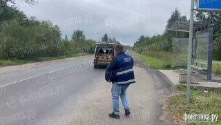 Торговец дынями прокатил ревизора на капоте в Металлострое. Накануне сотрудники ККИ при пресечении несанкционированной торговли столкнулись с яростным сопротивлением.