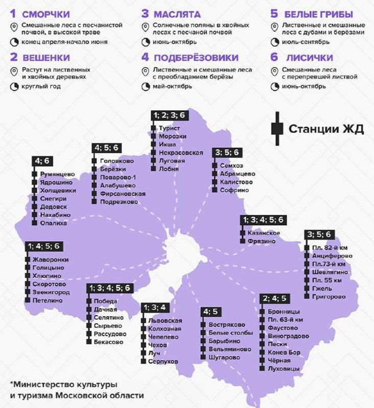 В сети появилась карта со всеми грибными местами Подмосковья.