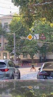 Жительница Одессы так сильно хотела найти себе мужика, что показывала жопу всем водителям.