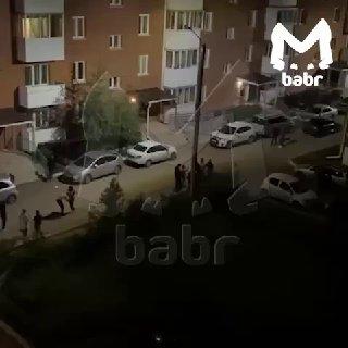 Собаку сбросили с третьего этажа в Улан-Удэ. Это произошло в 113-м квартале в...