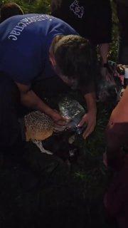 В Богородском округе в Подмосковье в квартире произошел пожар. Спасатели...