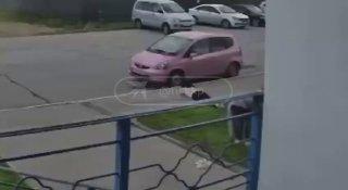 Тело девушки нашли под окнами многоэтажки на Твардовского в Новосибирске