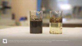 Учёные из Новосибирска разработали метод очистки воды от нефти с помощью бактерий