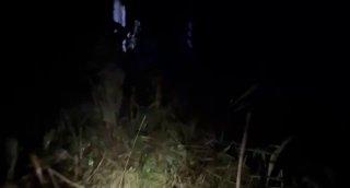 Пожилая женщина чуть не утонула в болоте под Верхней Пышмой