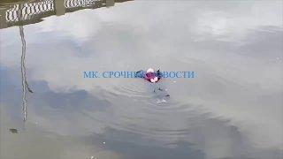 На Рубцовской набережной в воде очевидцы заметили тело женщины. На место...