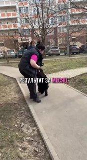 Клиенты подмосковной передержки для собак пожаловались на жестокое обращение с животными.
