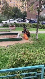 В Подмосковье женщина высыпала пакет с говном своего кота в детскую песочницу.