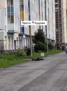 Солевой начинает утро в Кудрово с разминки. 🇷🇺 Источник: ЧП ПИТЕР