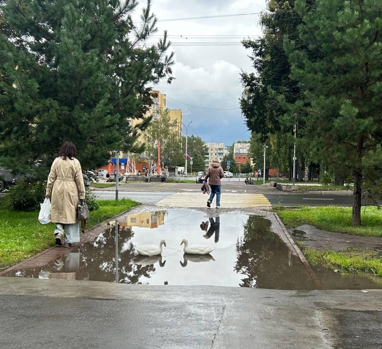 В Кемерово в районе дома №29 на Бульваре Строителей образовался декоративный...