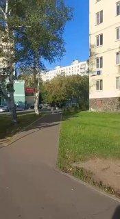 В Дмитрове подростки на электроскутере сбили маму с семилетним ребёнком и...
