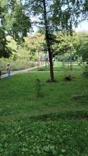 Котик из Академа поверил в свои силы и попытался поймать белку. Но та...