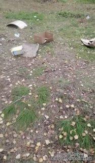 Особо охраняемый памятник природы — Кайская реликтовая роща. 🇷🇺 Источник: ЧП...