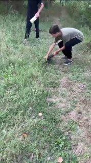 В Дагестане в селе Сулевкент малолетние черти украли курицу, сначала...