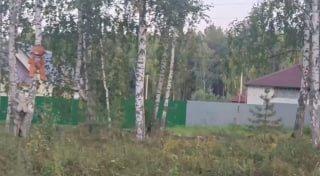 Плюшевый «Сайлент Хилл» образовался в селе Мезенское Свердловской области