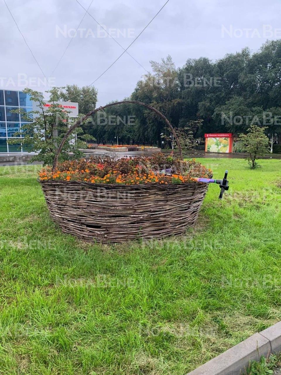 Стоянка самокатов на Кирова. 🇷🇺 Источник: ЧП Хакасия