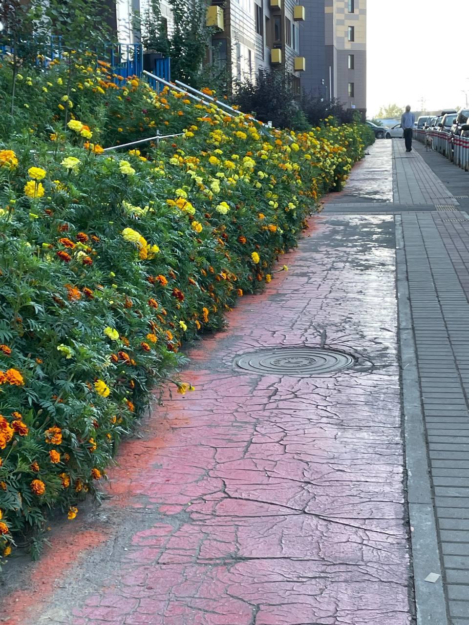 В ЖК «Сколковский» в Одинцово некоторые местные жители решили очень...