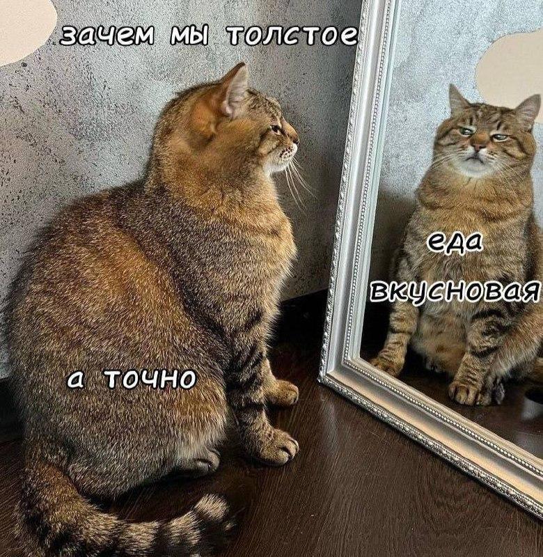 Сегодня отмечается Международный день красоты и день «Я люблю еду».