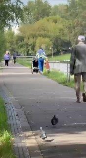 В Санкт-Петербурге заметили отца года, который нес ребенка за ногу.