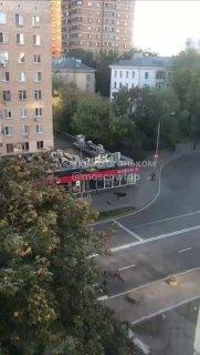 В Измайлово по району бродил растерянный лось. Сохатый не понимал, как...