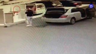 Трёх котят выкинул в мусорный бак мужчина в Бердске. Он подъехал на машине,...