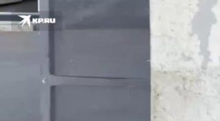 Бездомный пенсионер пытался утащить ребёнка в кусты под Петербургом По словам...