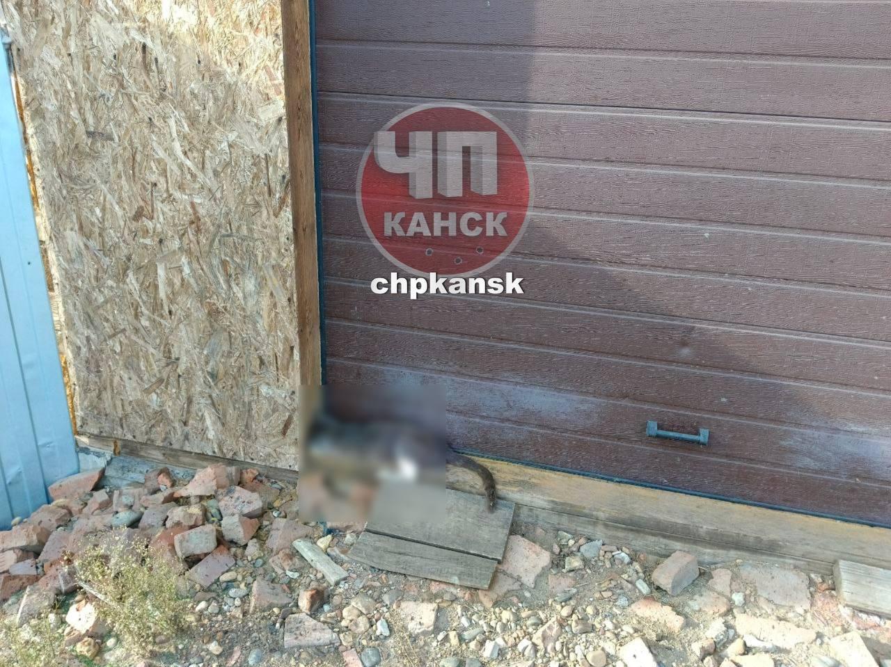 От читателя: На территории СНТ «Алёнушка» находится приют «Четыре лапы и...