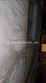 🪳 Толпы тараканов лезут по фасаду и забираются в окна дома на Луговой, 50, во Владивостоке