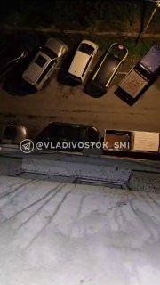 🪳 Толпы тараканов лезут по фасаду и забираются в окна дома на Луговой, 50, во Владивостоке