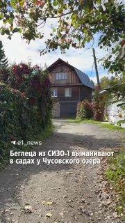 «Братуха, сдавайся»: Смекалочка от силовиков — беглеца Корюкова* пытаются убедить сдаться голосом его подельника