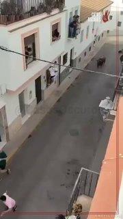 В Испании бык забодал мужчину, который не смог от него спастись во время забега