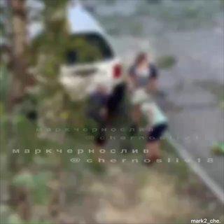 🕊 Дети забили голубя камнями в Уссурийске — полиция проводит проверку